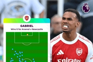 英超官方曬加布里埃爾觸球分布，僅在對(duì)方禁區(qū)觸球1次就完成絕殺