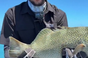 休賽期垂釣高手??西蒙斯社媒曬海釣收獲！直言這回運氣爆棚~