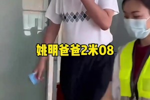 霍姆格倫像林肯？字母哥像姆巴佩？
